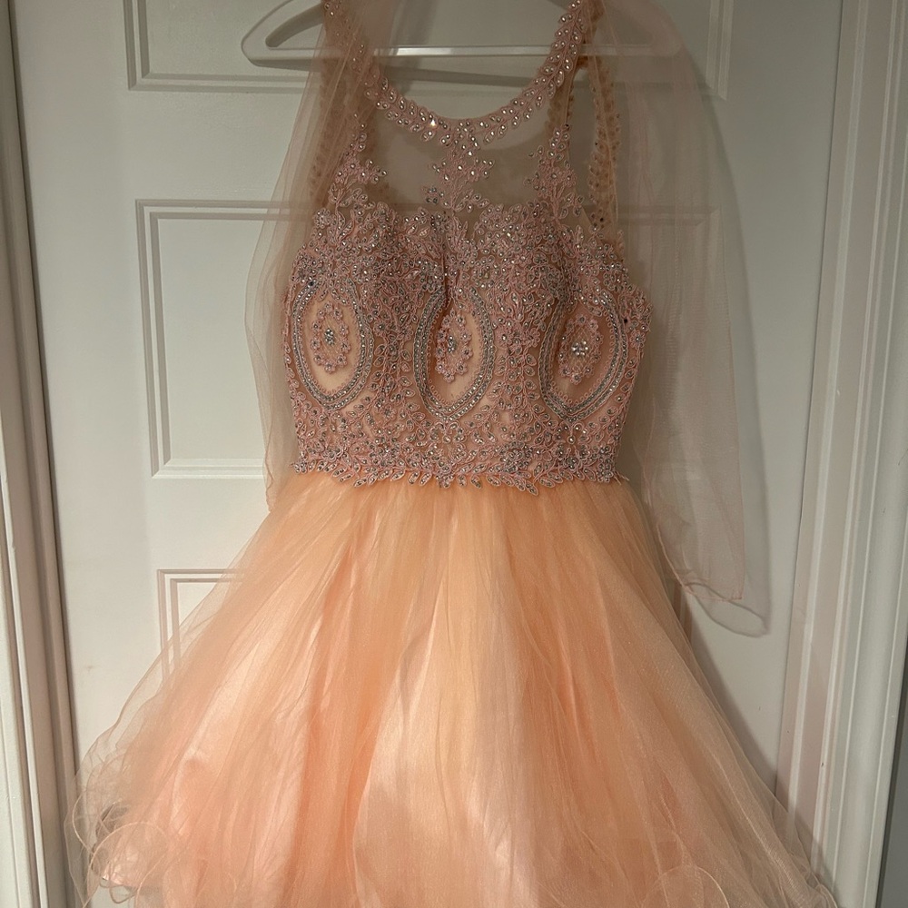 Elegant Peach Embellished Dress
